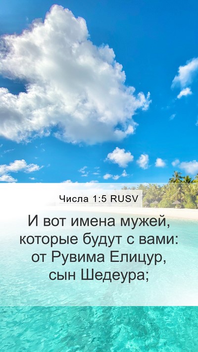 Числа 1:5 RUSV Bible Verse Image