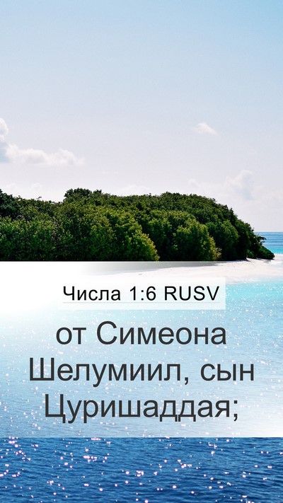 Числа 1:6 RUSV Mobile Phone Wallpaper - от Симеона Шелумиил, сын - Mobile Bible Verse Wallpaper