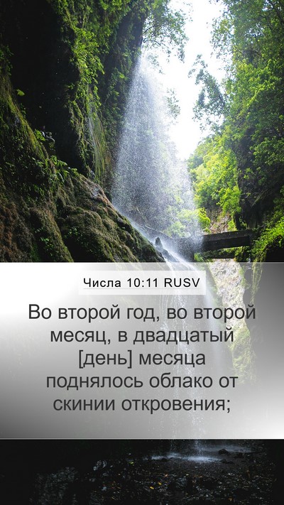Числа 10:11 RUSV Bible Verse Image