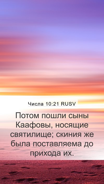 Числа 10:21 RUSV Bible Verse Image