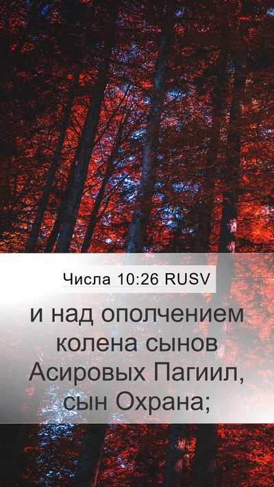 Числа 10:26 RUSV Bible Verse Image