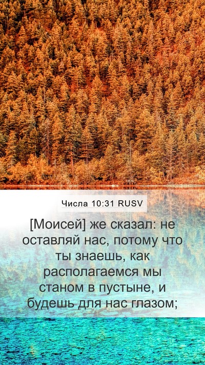Числа 10:31 RUSV Mobile Phone Wallpaper - [Моисей] же сказал: не - Mobile Bible Verse Wallpaper