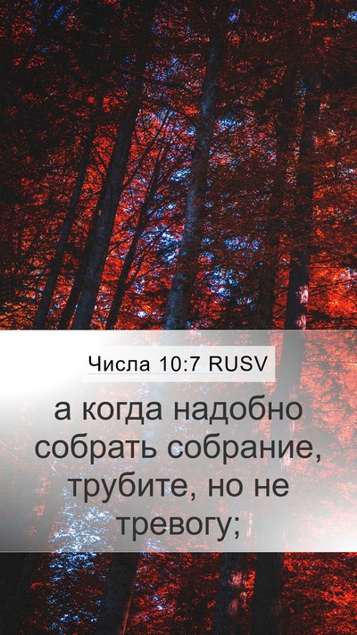 Числа 10:7 RUSV Bible Verse Image