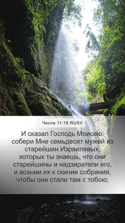 Числа 11:16 RUSV Bible Verse Image
