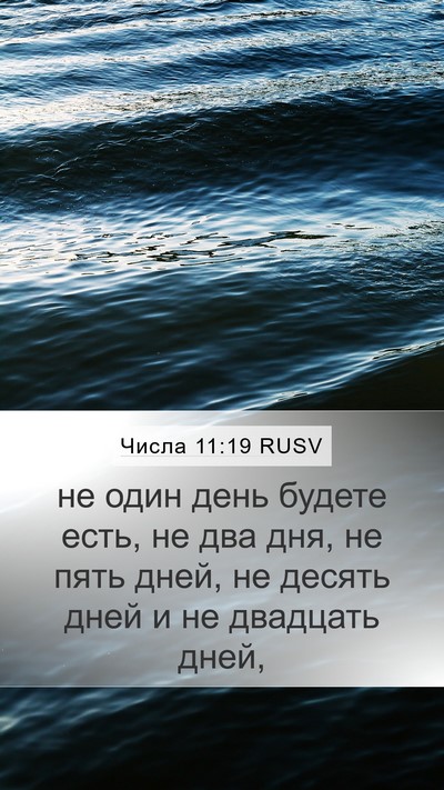 Числа 11:19 RUSV Mobile Phone Wallpaper - не один день будете есть, - Mobile Bible Verse Wallpaper