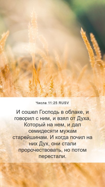 Числа 11:25 RUSV Bible Verse Image