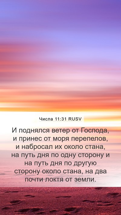 Числа 11:31 RUSV Mobile Phone Wallpaper - И поднялся ветер от - Mobile Bible Verse Wallpaper