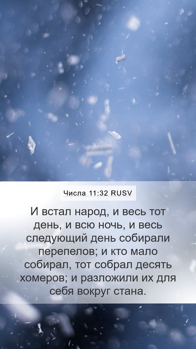 Числа 11:32 RUSV Mobile Phone Wallpaper - И встал народ, и весь тот - Mobile Bible Verse Wallpaper