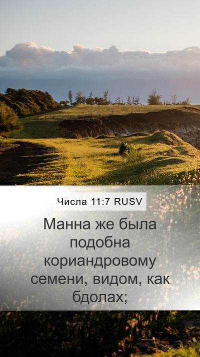 Числа 11:7 RUSV Mobile Phone Wallpaper - Манна же была подобна - Mobile Bible Verse Wallpaper