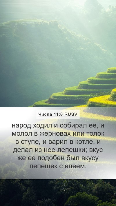 Числа 11:8 RUSV Mobile Phone Wallpaper - народ ходил и собирал ее, и - Mobile Bible Verse Wallpaper
