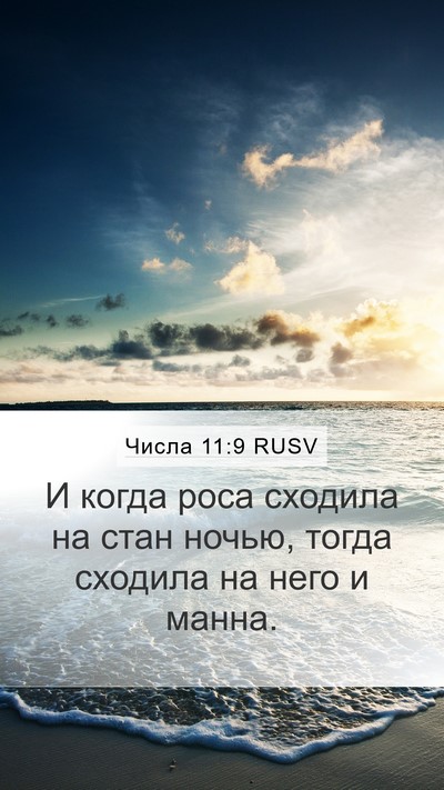 Числа 11:9 RUSV Mobile Phone Wallpaper - И когда роса сходила на - Mobile Bible Verse Wallpaper