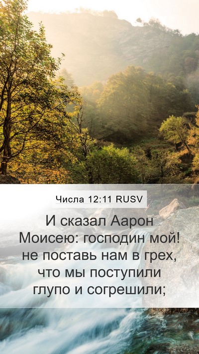 Числа 12:11 RUSV Mobile Phone Wallpaper - И сказал Аарон Моисею: - Mobile Bible Verse Wallpaper