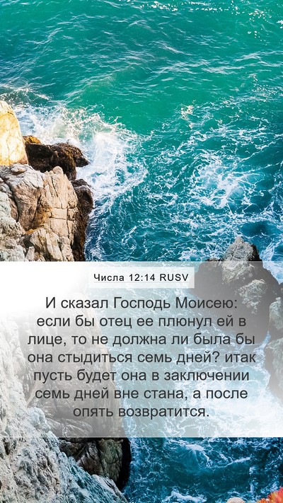 Числа 12:14 RUSV Bible Verse Image