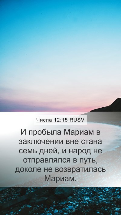 Числа 12:15 RUSV Bible Verse Image