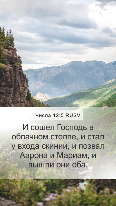 Числа 12:5 RUSV Mobile Phone Wallpaper - И сошел Господь в облачном - Mobile Bible Verse Wallpaper