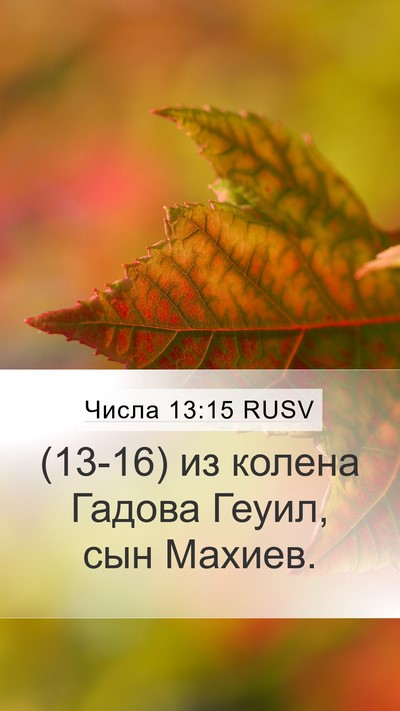 Числа 13:15 RUSV Mobile Phone Wallpaper - (13-16) из колена Гадова - Mobile Bible Verse Wallpaper
