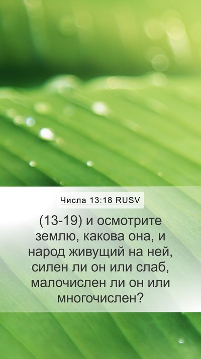 Числа 13:18 RUSV Mobile Phone Wallpaper - (13-19) и осмотрите землю, - Mobile Bible Verse Wallpaper