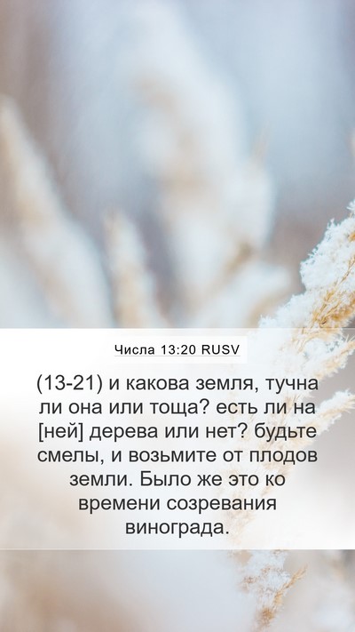 Числа 13:20 RUSV Mobile Phone Wallpaper - (13-21) и какова земля, тучна - Mobile Bible Verse Wallpaper