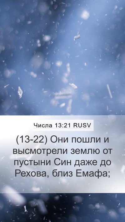 Числа 13:21 RUSV Bible Verse Image