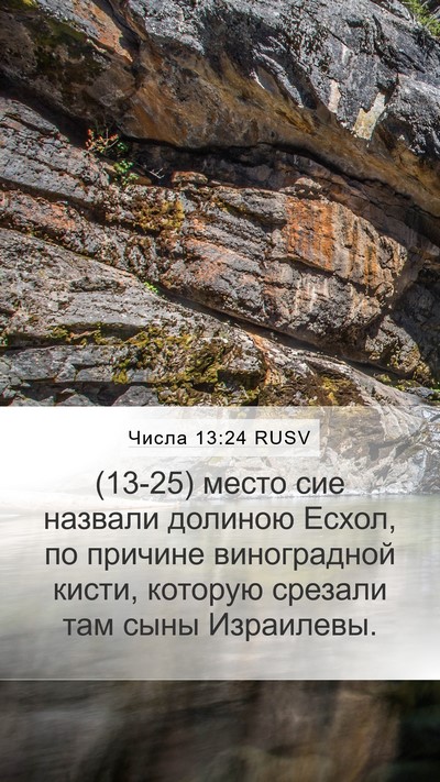 Числа 13:24 RUSV Mobile Phone Wallpaper - (13-25) место сие назвали - Mobile Bible Verse Wallpaper