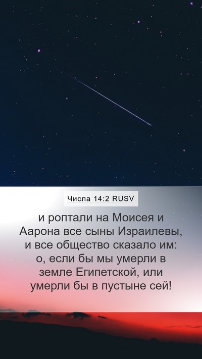 Числа 14:2 RUSV Bible Verse Image