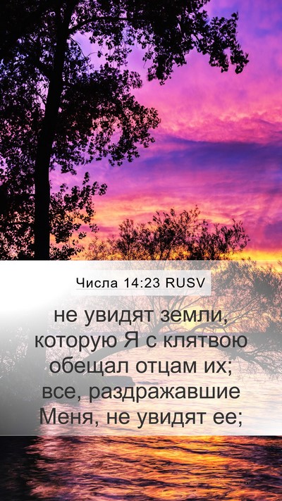 Числа 14:23 RUSV Bible Verse Image