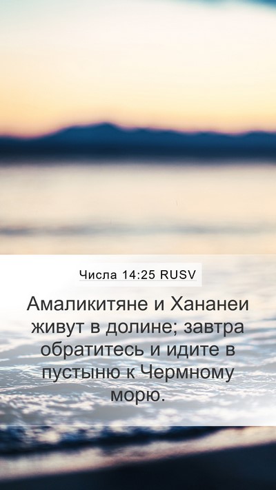 Числа 14:25 RUSV Bible Verse Image