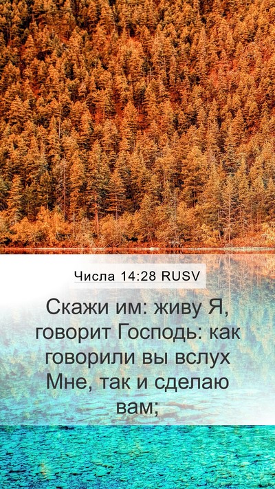 Числа 14:28 RUSV Bible Verse Image