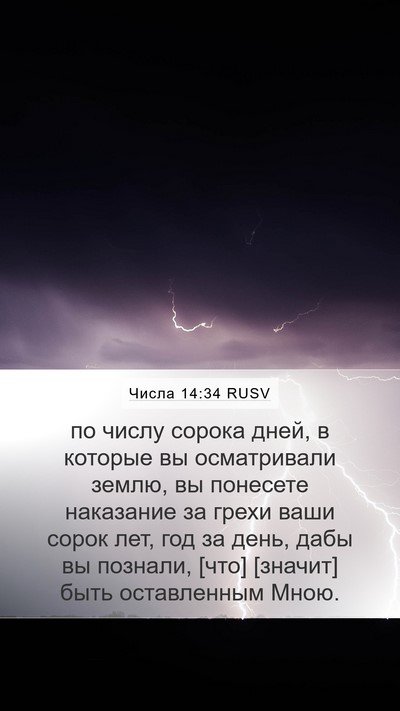 Числа 14:34 RUSV Bible Verse Image