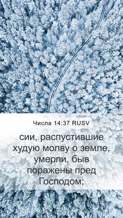 Числа 14:37 RUSV Bible Verse Image