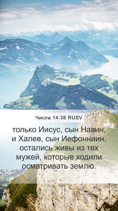 Числа 14:38 RUSV Bible Verse Image