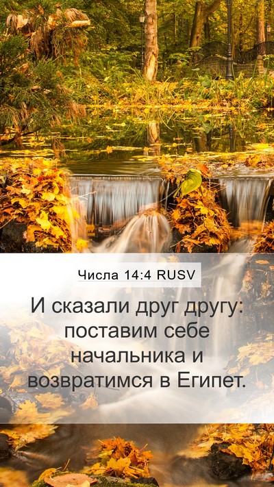 Числа 14:4 RUSV Mobile Phone Wallpaper - И сказали друг другу: - Mobile Bible Verse Wallpaper