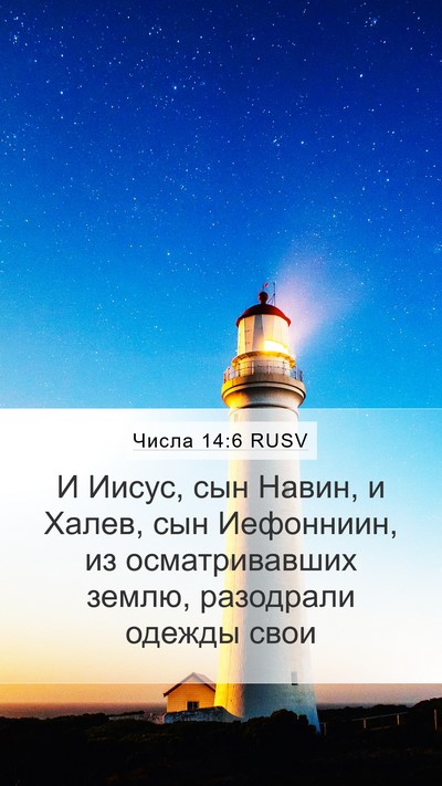 Числа 14:6 RUSV Bible Verse Image