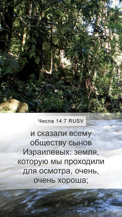 Числа 14:7 RUSV Mobile Phone Wallpaper - и сказали всему обществу - Mobile Bible Verse Wallpaper