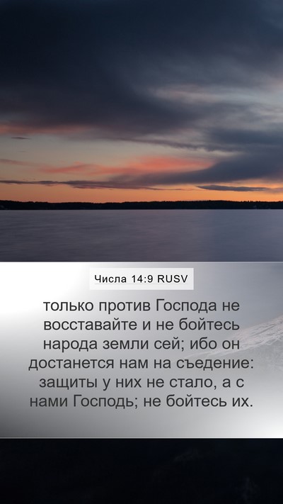 Числа 14:9 RUSV Bible Verse Image
