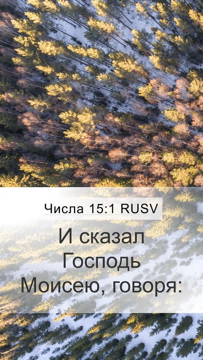 Числа 15:1 RUSV Mobile Phone Wallpaper - И сказал Господь Моисею, - Mobile Bible Verse Wallpaper