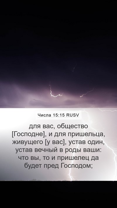 Числа 15:15 RUSV Bible Verse Image