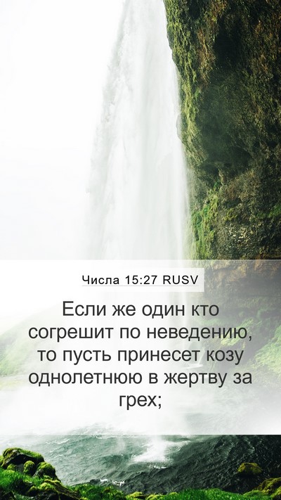 Числа 15:27 RUSV Bible Verse Image