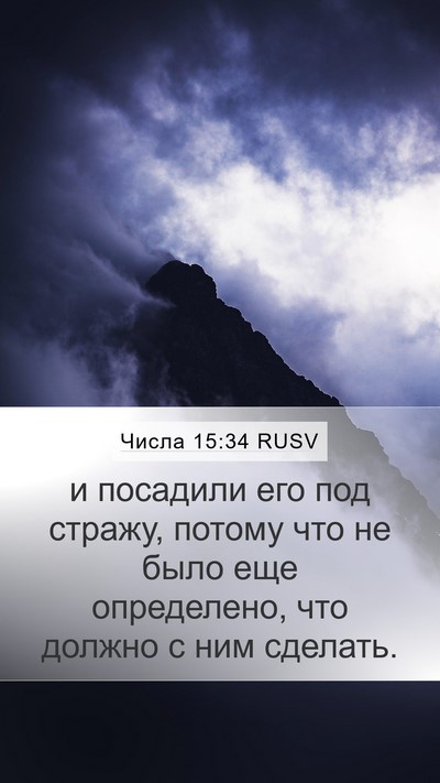 Числа 15:34 RUSV Bible Verse Image