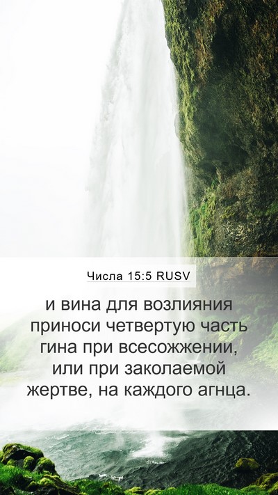Числа 15:5 RUSV Bible Verse Image
