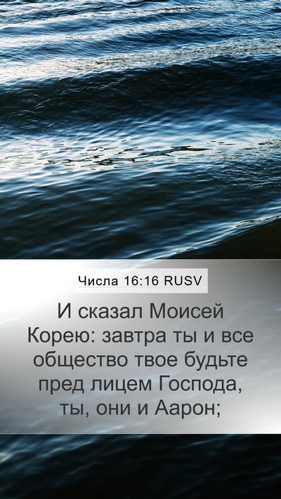 Числа 16:16 RUSV Bible Verse Image