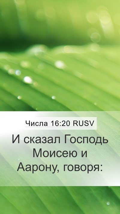 Числа 16:20 RUSV Mobile Phone Wallpaper - И сказал Господь Моисею и - Mobile Bible Verse Wallpaper