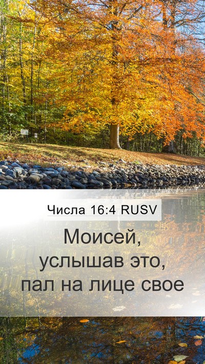 Числа 16:4 RUSV Mobile Phone Wallpaper - Моисей, услышав это, пал на - Mobile Bible Verse Wallpaper