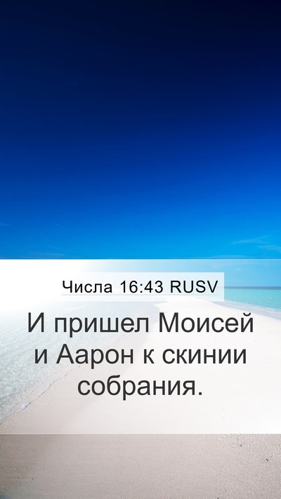 Числа 16:43 RUSV Mobile Phone Wallpaper - И пришел Моисей и Аарон к - Mobile Bible Verse Wallpaper