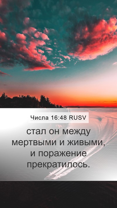 Числа 16:48 RUSV Mobile Phone Wallpaper - стал он между мертвыми и - Mobile Bible Verse Wallpaper