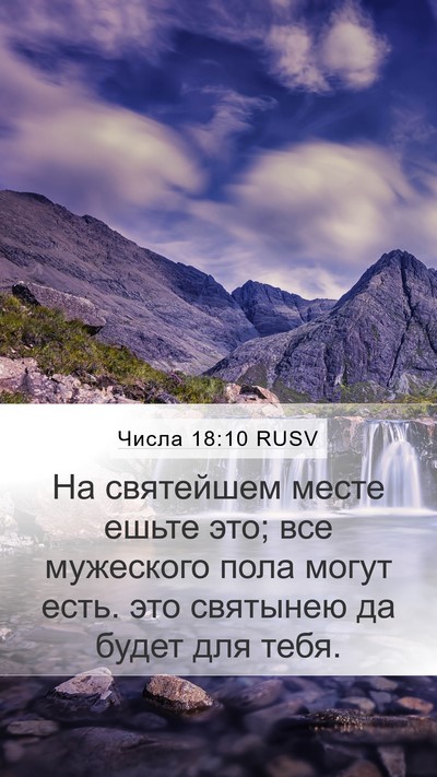 Числа 18:10 RUSV Mobile Phone Wallpaper - На святейшем месте ешьте - Mobile Bible Verse Wallpaper