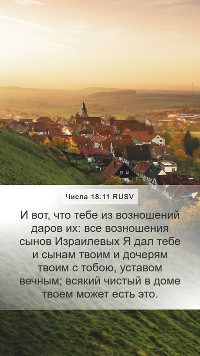 Числа 18:11 RUSV Bible Verse Image