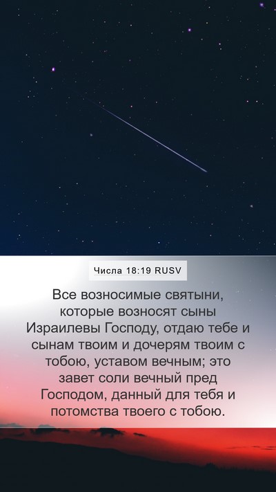 Числа 18:19 RUSV Bible Verse Image