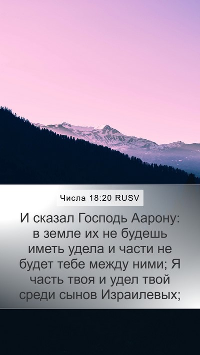 Числа 18:20 RUSV Bible Verse Image