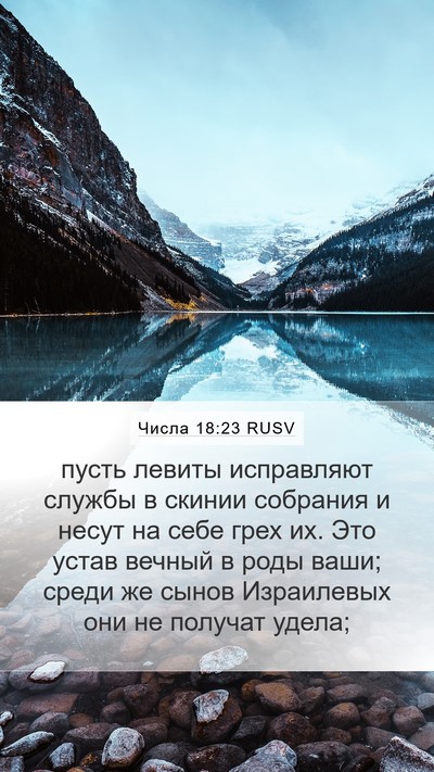 Числа 18:23 RUSV Bible Verse Image